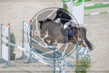 ref. photo 3516776
