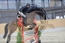 ref. photo 3516780
