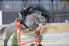 ref. photo 3516788