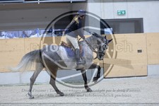 ref. photo 3516793