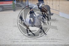 ref. photo 3516794