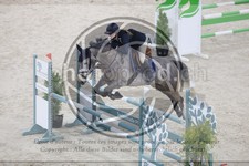 ref. photo 3516796