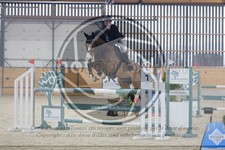 ref. photo 3516803