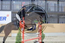 ref. photo 3516816