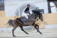 ref. photo 3516820