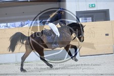 ref. photo 3516822