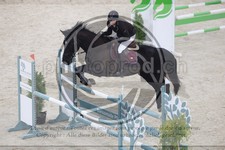 ref. photo 3516834