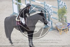 ref. photo 3516840