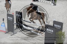ref. photo 3516841