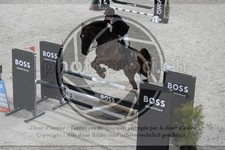 ref. photo 3516845