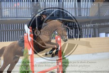 ref. photo 3516853