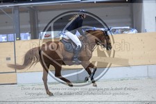 ref. photo 3516858