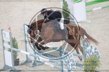 ref. photo 3516860