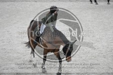 ref. photo 3516870