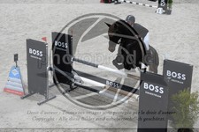 ref. photo 3516874