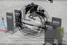 ref. photo 3516878