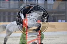 ref. photo 3516885
