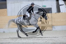 ref. photo 3516888