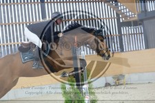 ref. photo 3516894