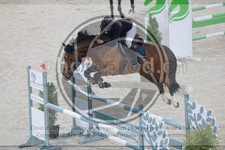ref. photo 3516896