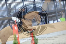 ref. photo 3516904