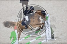 ref. photo 3516911