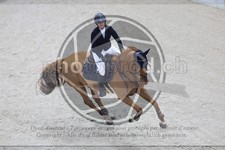 ref. photo 3516912
