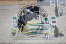 ref. photo 3516919