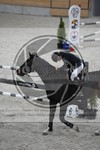 ref. photo 3516959