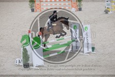 ref. photo 3516972