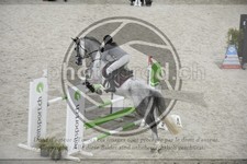 ref. photo 3516986