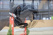 ref. photo 3517006