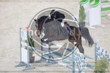 ref. photo 3517010