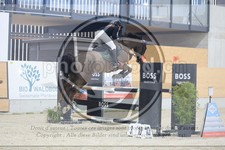 ref. photo 3517024