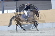 ref. photo 3517031