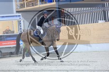 ref. photo 3517032