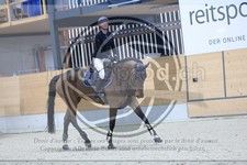 ref. photo 3517033