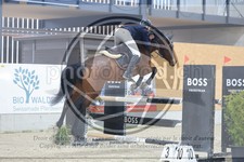 ref. photo 3517048