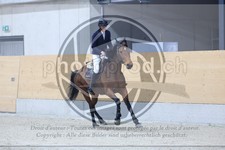 ref. photo 3517049