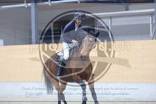 ref. photo 3517050