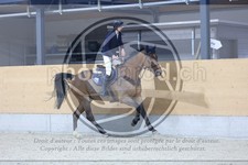 ref. photo 3517056