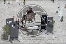 ref. photo 3517057