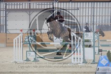 ref. photo 3517061