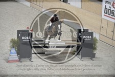 ref. photo 3517071