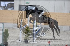 ref. photo 3517091