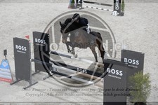 ref. photo 3517093