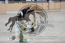 ref. photo 3517098