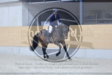 ref. photo 3517103