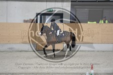 ref. photo 3517112