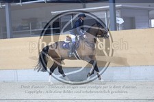 ref. photo 3517119